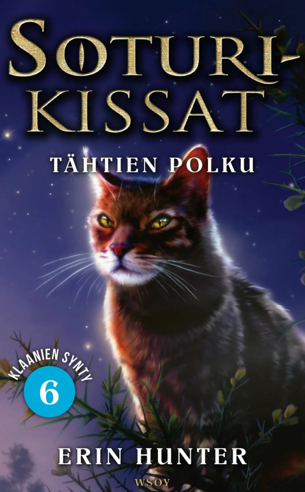Soturikissat: Klaanien synty 6: Tähtien polku