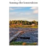 Språkförtryck och övergrepp i Tornedalen : sanning eller konstruktion
