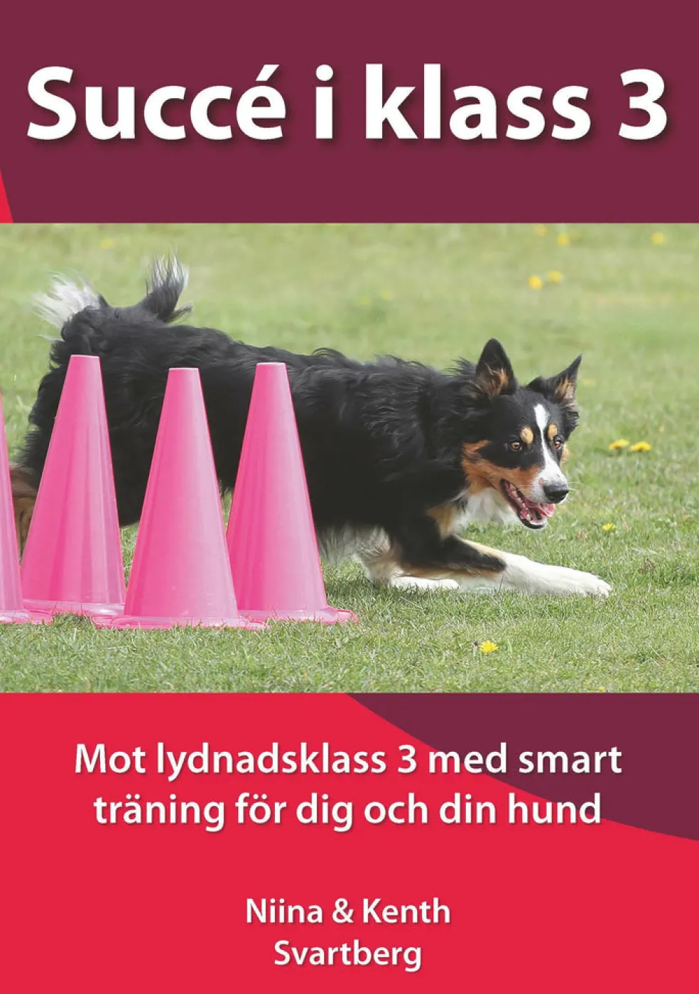 Succé i klass 3 : mot lydnadsklass 3 med smart träning för dig och din hund