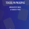 Tekoälyn pikaopas