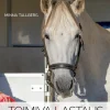 Toimiva lastaus