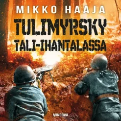 Tulimyrsky Tali-Ihantalassa