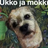 Ukko ja mökki