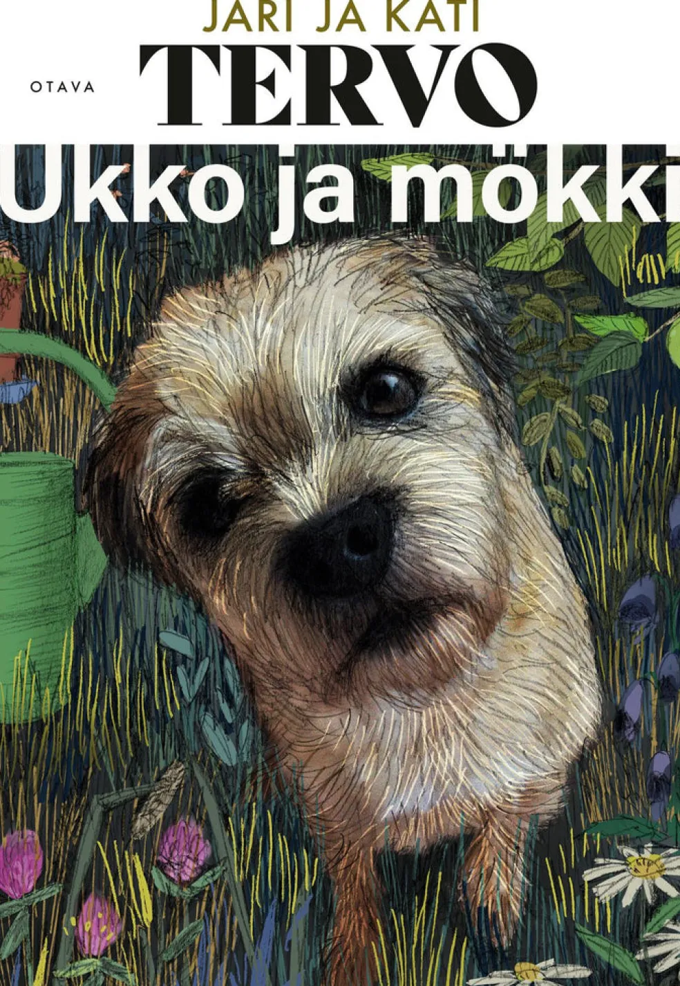 Ukko ja mökki
