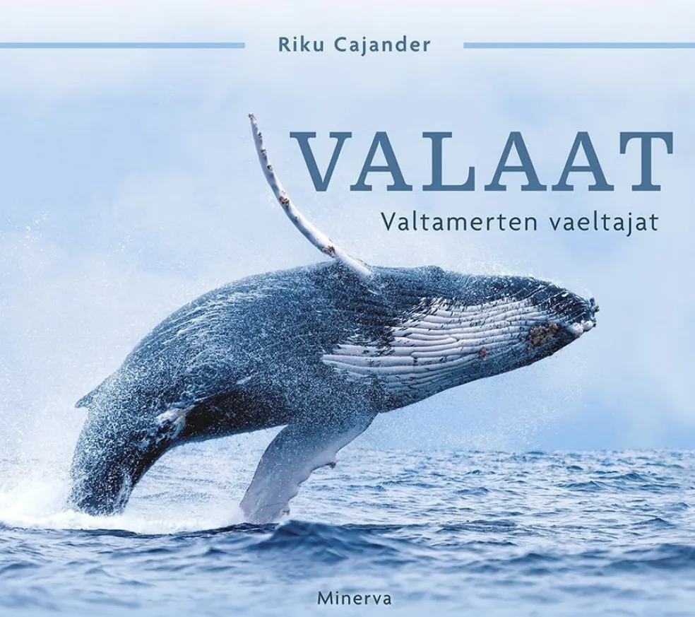 Valaat