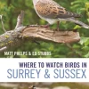 Where to Watch Birds in Surrey and Sussex