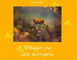 Ystävyys on valo auringon